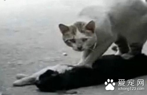 保洁员休假难,假权谁来保障?-星空官方网站(图2) 星空官方网站