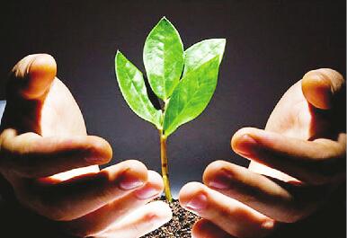 小我私家大病求助互联网服务平台自律条约升级版公布“星空app官网”(图2) 星空官方网站