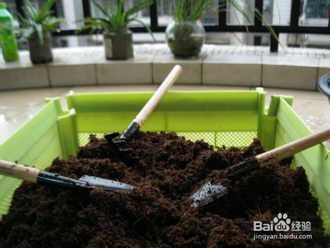 星空app官网_大学生诉生父给付抚养费(图1) 星空app官方网页