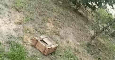 星空app官方网页