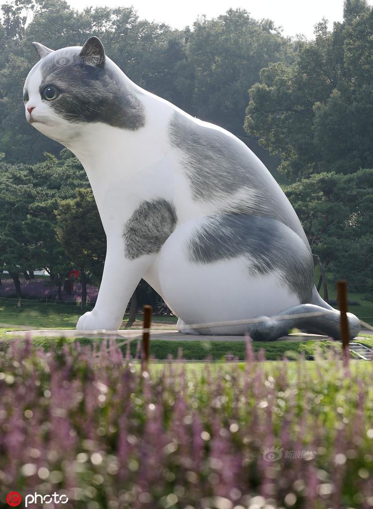 星空app官方网页