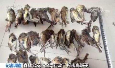 星空app官方网页_受贿罪构成要件(图2) 星空app官网