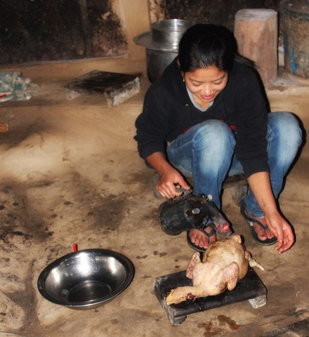 星空app官方网页