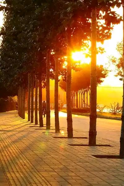 星空app官方网页