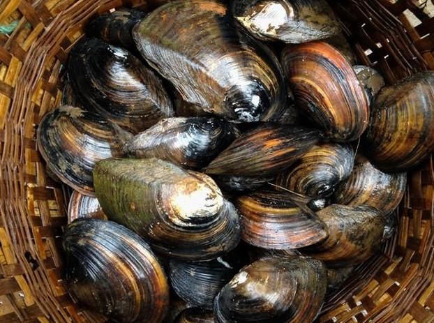 星空app官方网页