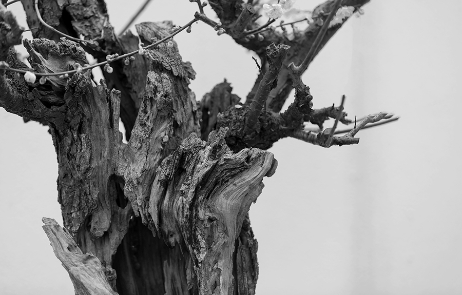 「台湾游购赞观光我最行」启动了! 全民拼经济旅游优惠加倍奉还-星空app官网(图3) 星空官方网站