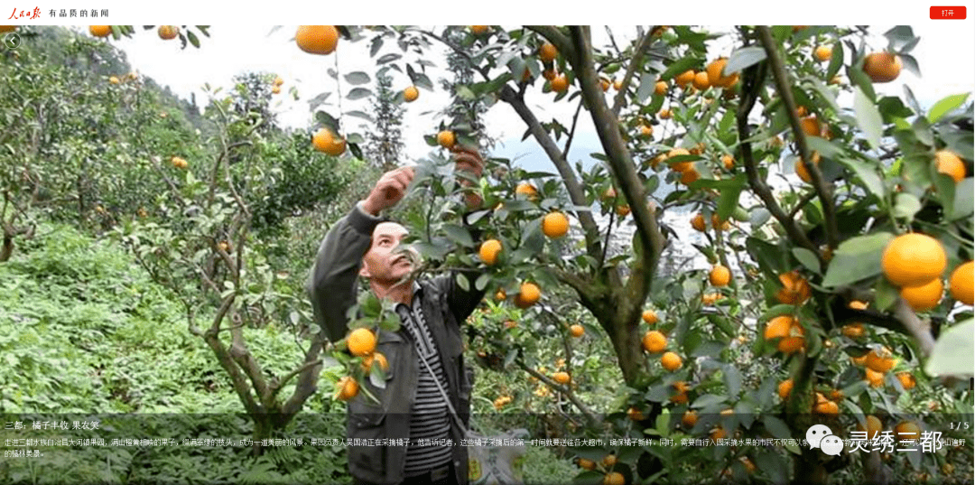 
【媒体聚焦】各大媒体关注三都这些事！_星空app官网(图10)