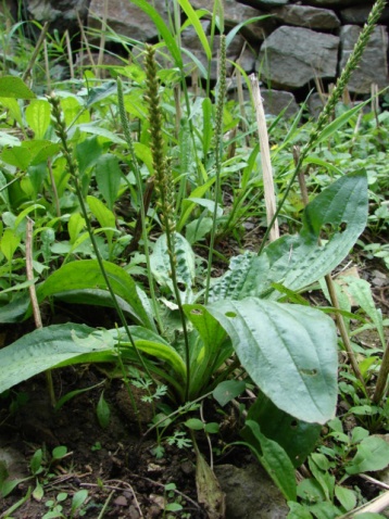 星空app官方网页