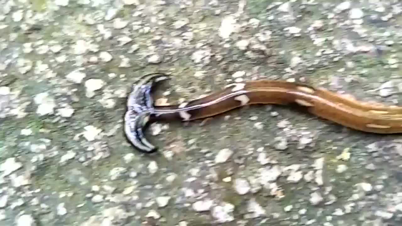 星空app官方网页