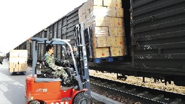 星空app官网|恐怖生存游戏《黑色森林》宣布8月17日正式发售(图1) 星空app官方网页