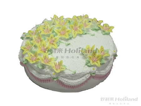 星空app官方网页