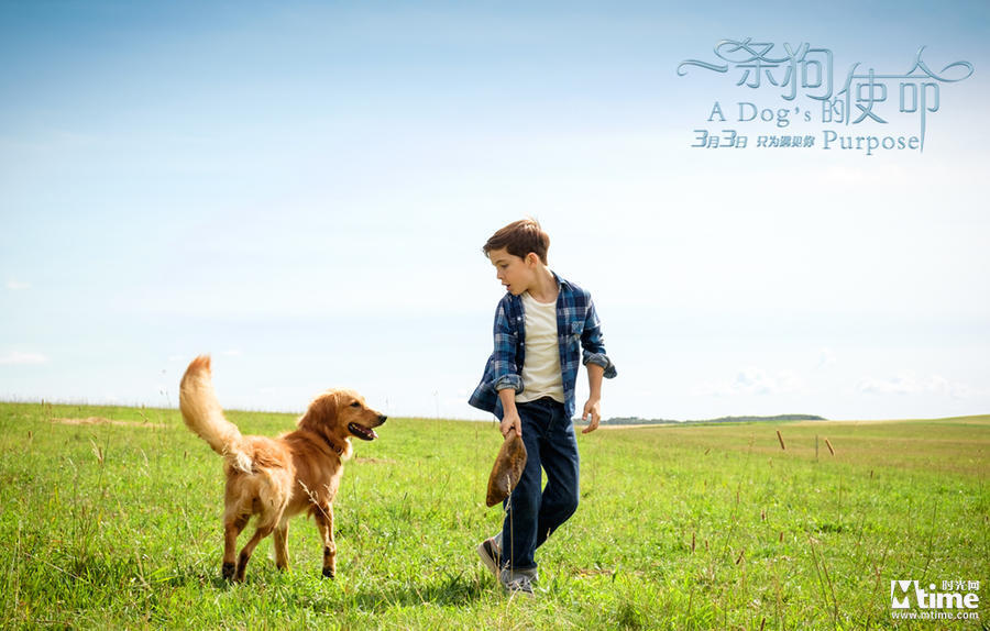 星空app官方网页