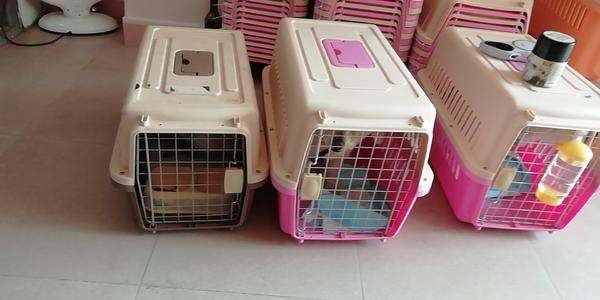 3大自媒体视频素材下载网站,再也不用网上辛苦寻找了,值得收藏:星空app官方网页(图2) 星空app官方网页