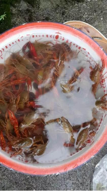 星空app官方网页