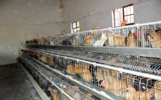 《司法行政机关信访事情措施》宣布‘星空app官方网页’(图2) 星空官方网站