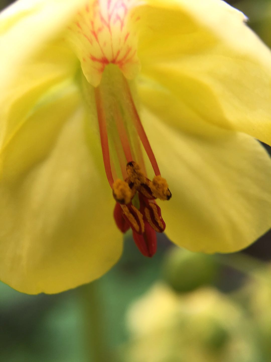 星空app官网_四成网友认为太严格(图2) 星空官方网站