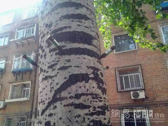 星空app官方网页