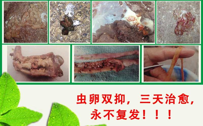 星空官方网站-明年复明年 《42中队:星际公民》或将再次跳票(图1) 星空app官方网页