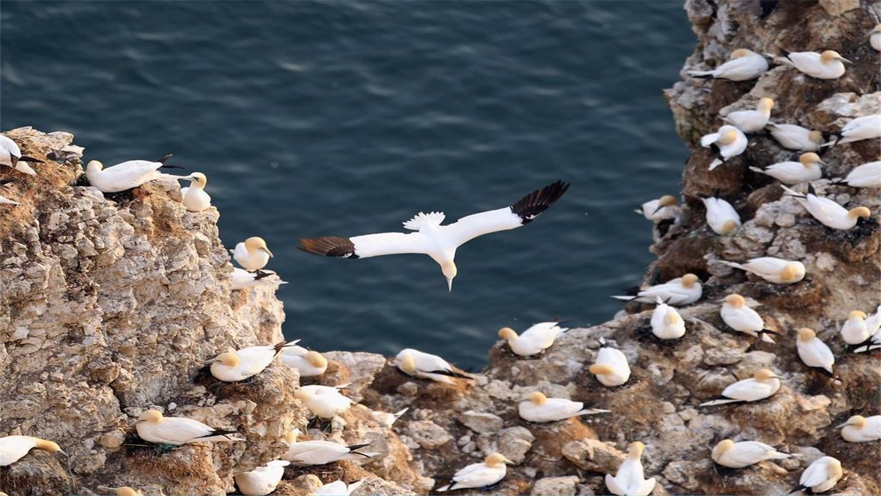 丧尸FPS新作《死亡联盟》公布 首支宣传片曝光【星空官方网站】(图3) 星空官方网站