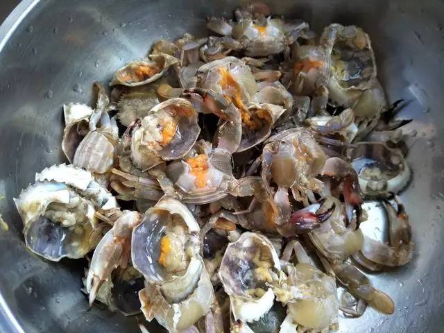 星空app官方网页