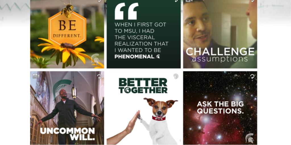 星空app官方网页