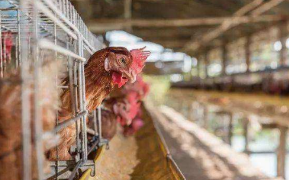 星空app官方网页