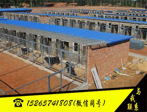 星空app官方网页