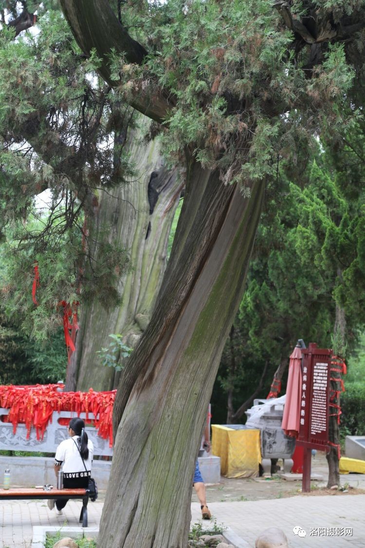 老运营同学,都纷歧定真正清楚运营事情到底都要做什么“星空app官方网页”(图4) 星空官方网站