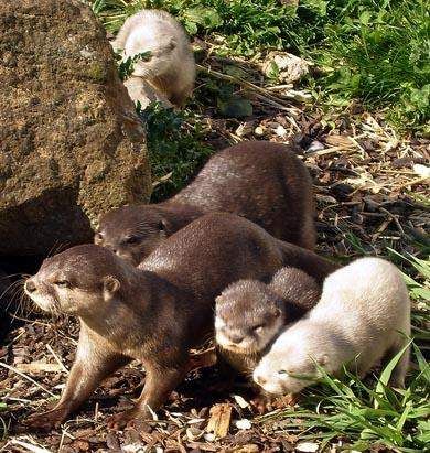 希捷三星硬盘业务部门带来世界最轻薄2TB硬盘存储解决方案【星空app官方网页】(图1) 星空app官网