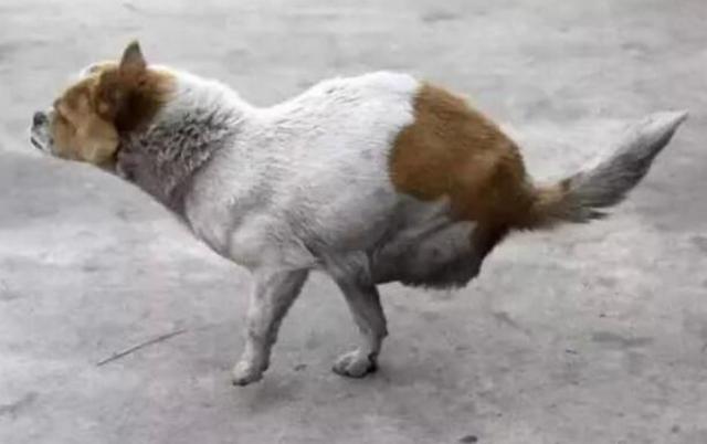 这些游戏彩蛋你可能从来都没注意过:星空app官网(图4) 星空官方网站