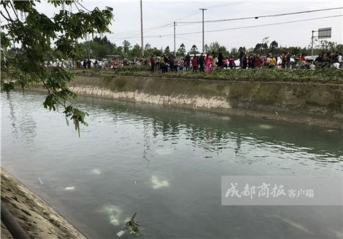 柘城融媒体中心:同心向“融” “融”荣与共_星空app官方网页(图4) 星空app官网