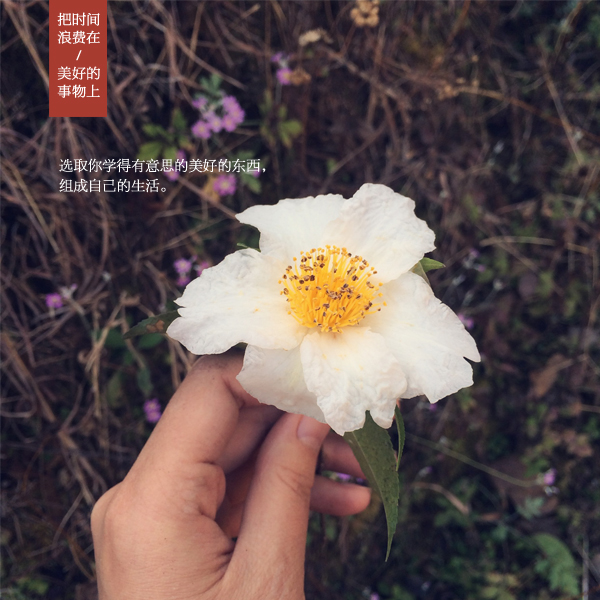 四个步骤成运营一个头条号 让你在自媒体行业里成为一个领域专家“星空官方网站”(图2) 星空app官网