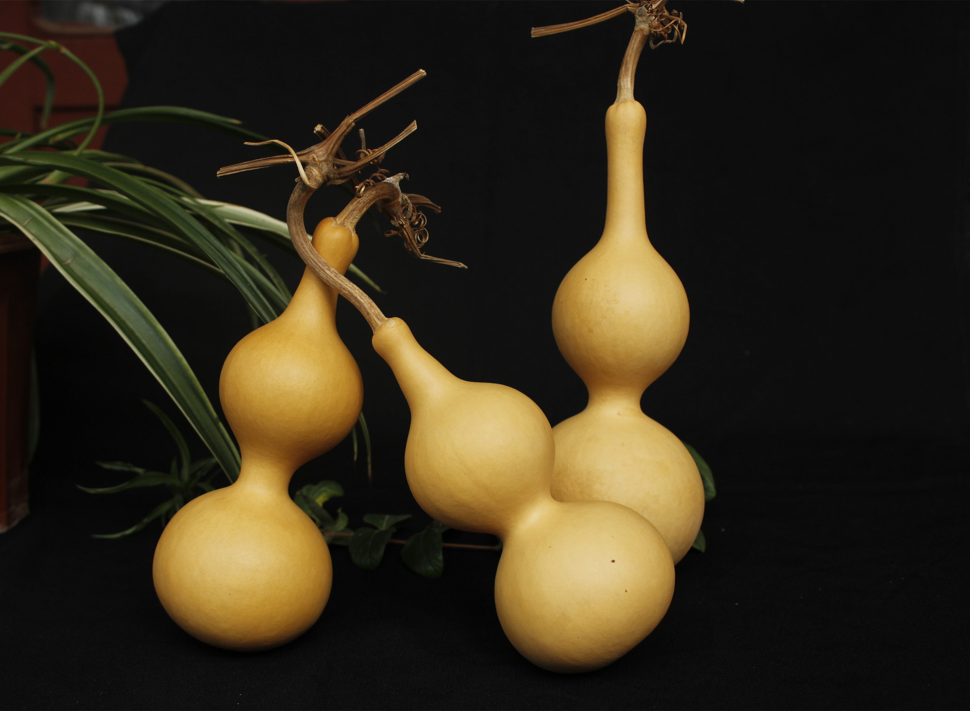 星空app官方网页_《荣耀战魂》创意总监已离职 加盟《激战2》开发商(图3) 星空app官网