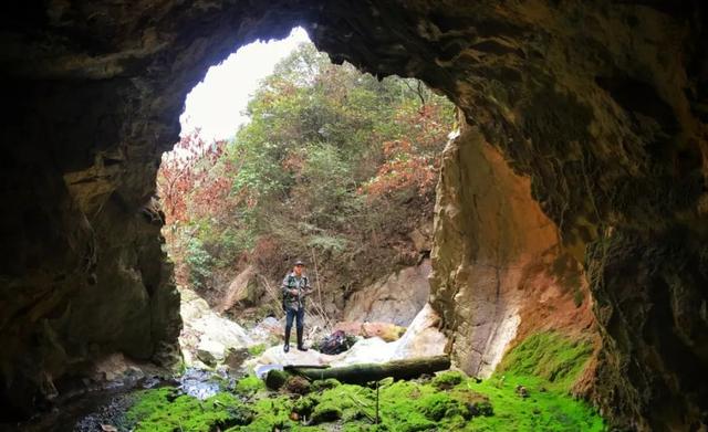 星空app官方网页