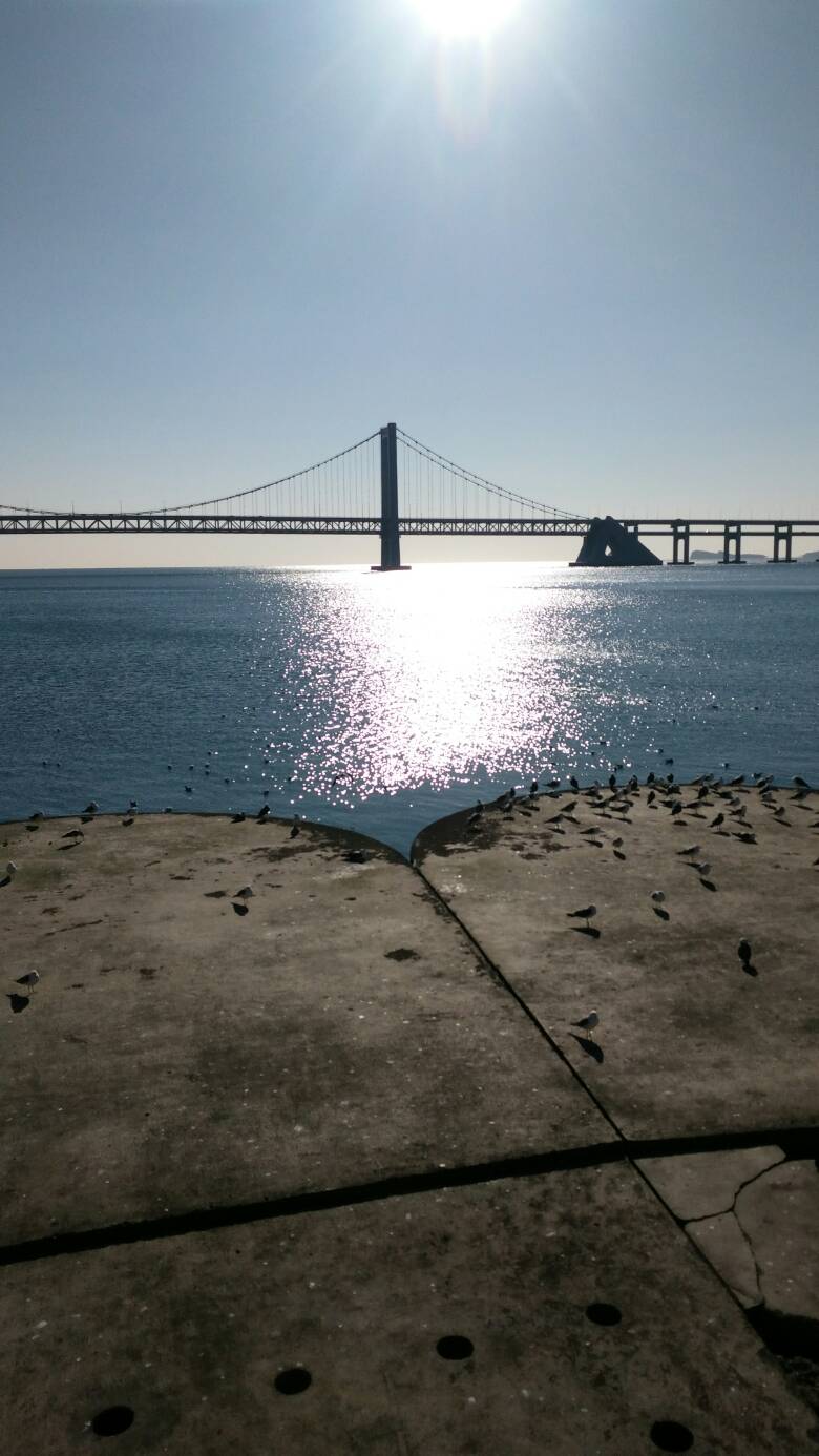 星空官方网站:
网店代运营受接待的原因是什么(图1) 星空app官方网页